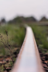 Rail. Nature in Tekeli. Spring. Kazakhstan.