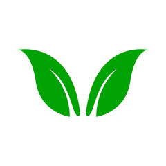 Leaf icon vector in trendy design