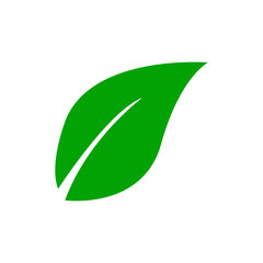 Leaf icon vector in trendy design