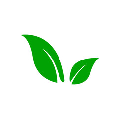 Leaf icon vector in trendy design