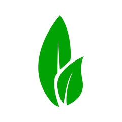 Leaf icon vector in trendy design