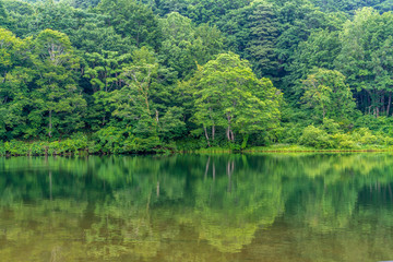Fototapeta na wymiar 五色沼 Goshiki-numa lake in Nishikawa-machi, Yamagata Prefecture, Japan