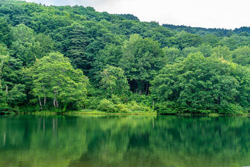 五色沼 Goshiki-numa lake in Nishikawa-machi, Yamagata Prefecture, Japan