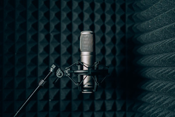 tube Studio condenser microphone for recording vocals in sound recording - Powered by Adobe