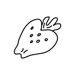 Hand drawn vector illustration in black ink on white background. Strawberry  in doodle style. Isolated outline.