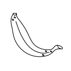 Hand drawn vector illustration in black ink on white background. A banana in doodle style. Isolated outline.