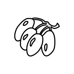 Hand drawn vector illustration in black ink on white background. Grape in doodle style. Isolated outline.