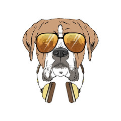 Boxer breed dog wear sunglasses, headphones isolated on white background Symmetrical pet head portrait. Realistic hand drawn vector illustration.