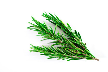 Top view, Branch and Leaf of fresh raw rosemary isolated on white background. Tiwgs - leaf green. Organic and herbal nature concept, Flat lay