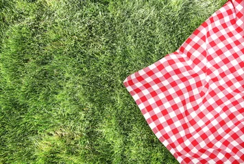 Foto op Plexiglas Picnic cloth on green grass background empty space. © nys
