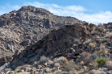 ジョシュア・ツリーの岩山