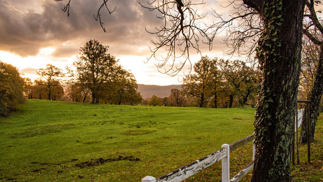 Fabulous sunset over the Karst Lipizza Park