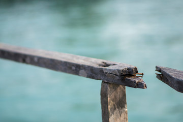 Fototapeta premium Wooden structure beside the water That is broken until seeing nails and broken wood chips.