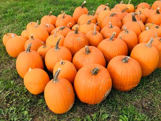 pumpkins for sale at farmers market