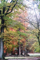 Automne à Rambouillet