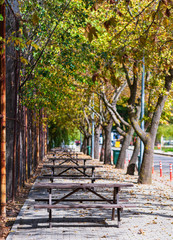Fototapeta na wymiar Empty streets, empty benches and deciduous trees greet autumn.