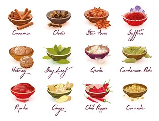 Big vector set with different kinds of spices, herbs, condiments, additives cinnamon, nutmeg, paprika, cloves, bay leaves, ginger, star anise, garlic, chili pepper, saffron cardamom pods coriander