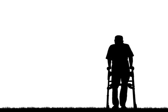  silhouette of the old man walk in the park    on a white background.