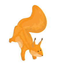 Squirrel on a white background. Cartoon. Vector illustration.