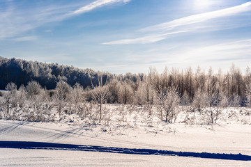 Winter landscape with a field and trees covered with snow on a sunny day