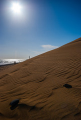 The desert sand dunes "Las Dunas" in Maspalomas on the isle of Gran Canaria