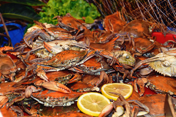  tasty fresh seafood on display in a shop or restaurant ready to eat