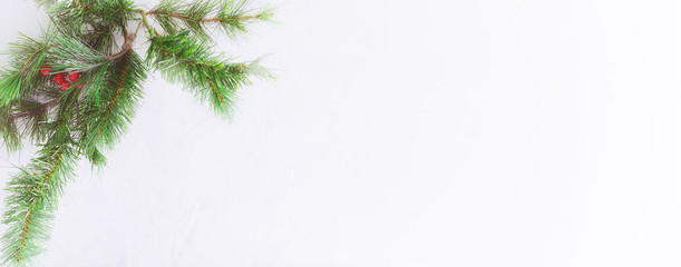 Christmas background. Fir tree branch border with copy space on cement background