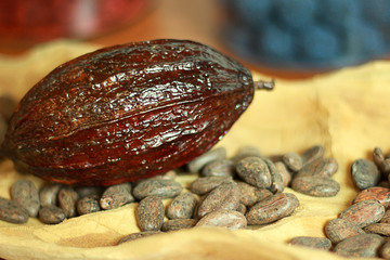 Cabosse & fèves de cacao