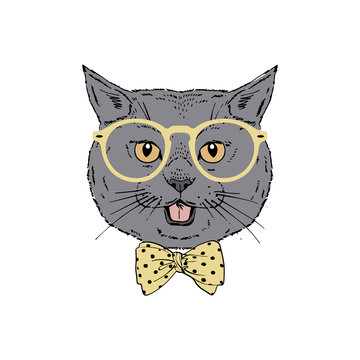British shorthair breed cat wear glasses, tie bow isolated on white background Symmetrical pet head. Realistic hand drawn vector illustration.