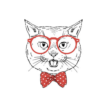 British shorthair breed cat wear red glasses, tie bow isolated on white background Symmetrical pet head. Realistic hand drawn vector illustration.
