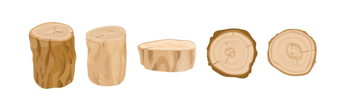 Tree stumps and logs vector illustrations set