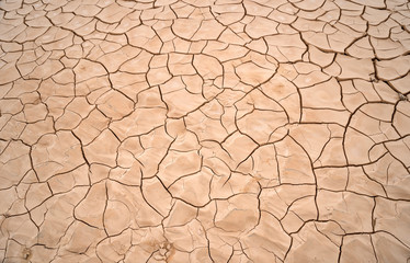 Desert dry and scorched soil