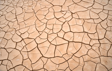 Desert dry and scorched soil