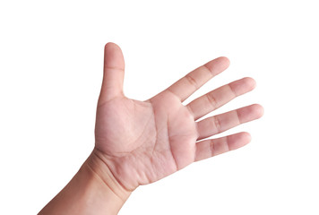 palm of the hand isolated on white