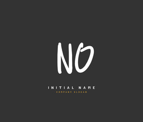 N O NO Beauty vector initial logo, handwriting logo of initial signature, wedding, fashion, jewerly, boutique, floral and botanical with creative template for any company or business.