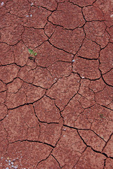 Dry cracked ground texture image. Interesting appearance of soil texture.