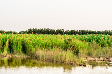 breathtaking view of nature looks so fresh and lots of greenery 