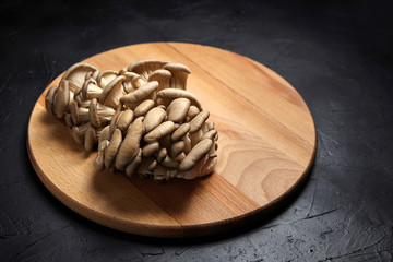 Oyster mushrooms, wooden cutting board on black background. Group of uncooked edible mushrooms on dark stone table, food ingredient