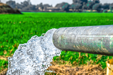crystal clear sweet and healthy blueish water being flush out by a heavy diesel engine tube well  in the wheat fields where the river water can't reach 
