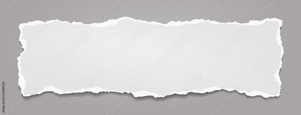 Wall mural piece of torn, white realistic grainy horizontal paper strip with soft shadow is on grey background.