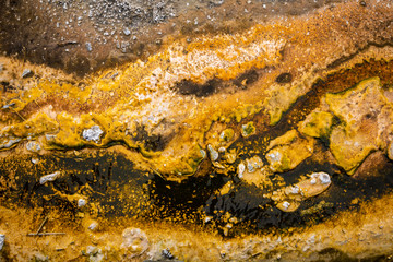 Close focus on texture and detail of geyser basin.