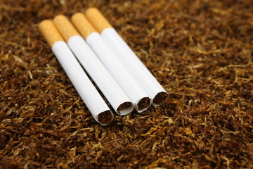 Gestopfte Zigaretten