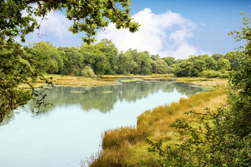 Fouesnant. La Pointe de Mousterlin. Les marais. Bretagne. Finistère