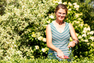 Woman with secateurs cutting the hedge