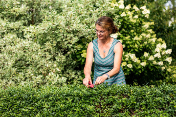 Woman with secateurs cutting the hedge