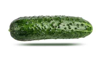 Cucumber isolated on white background with clipping path