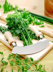 Fresh and aromatic herbs: chives, parsley, basil, thyme, coriander, fennel