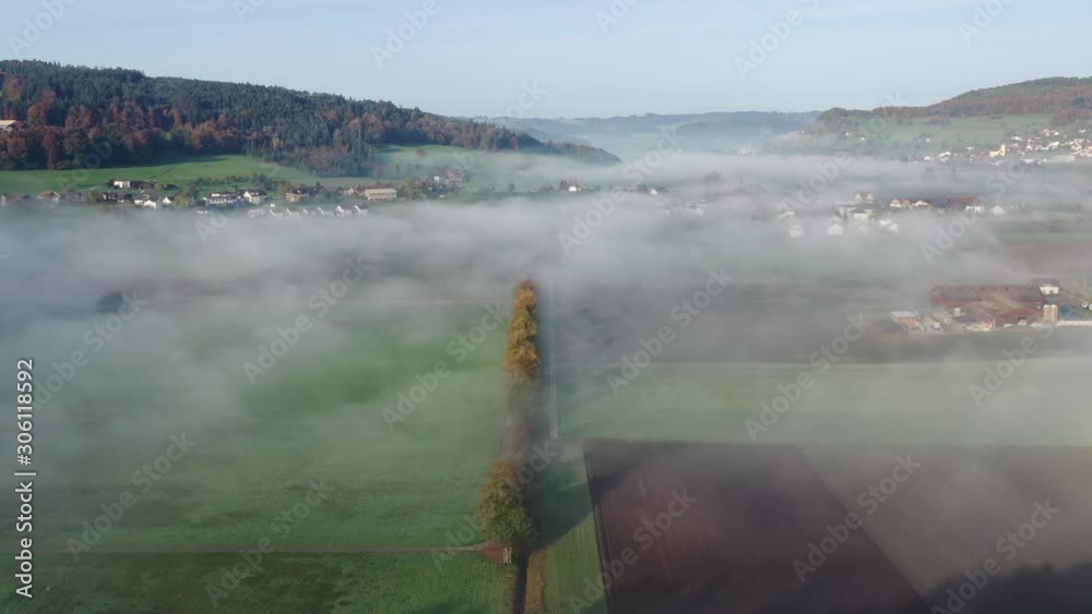 Wall mural aerial view of ground fog pulling over a row of trees on an autumn morning in the midland of switzer