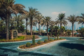 Oasis in Dubai. Beautiful green views of Dubai city.