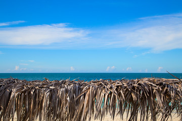 View of the Atlantic ocean through a canopy of dry palm leaves.Horizontally.